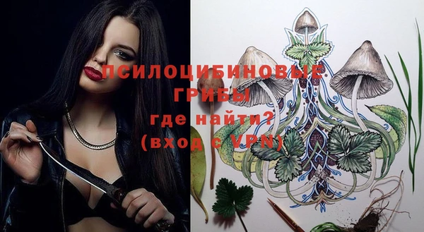 метадон Козловка
